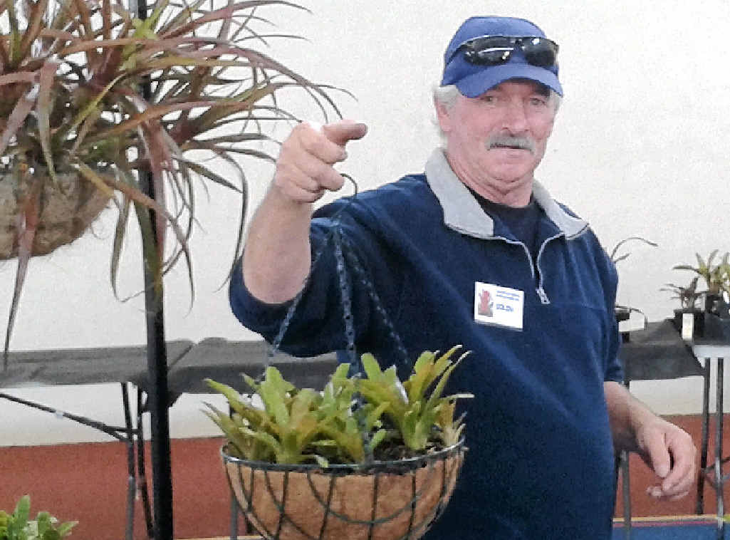 Member Colin Burr demonstrating how to pot bromeliad baskets. Member Colin Burr demonstrating how to pot bromeliad baskets.